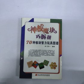 神板魔块巧拆拼：70种板块智力玩具图谱