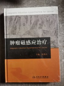 肿瘤磁感应治疗