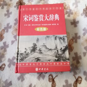宋词鉴赏大辞典彩色版中华书局