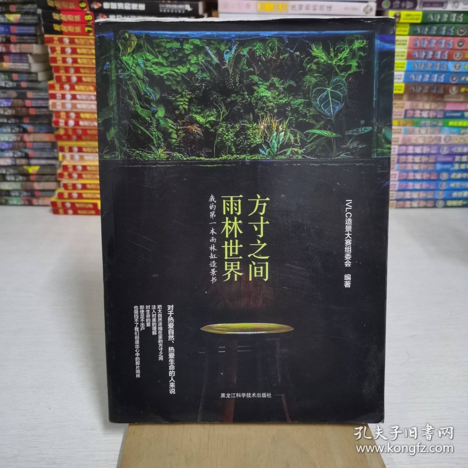 方寸之间，雨林世界：我的第一本雨林缸造景书