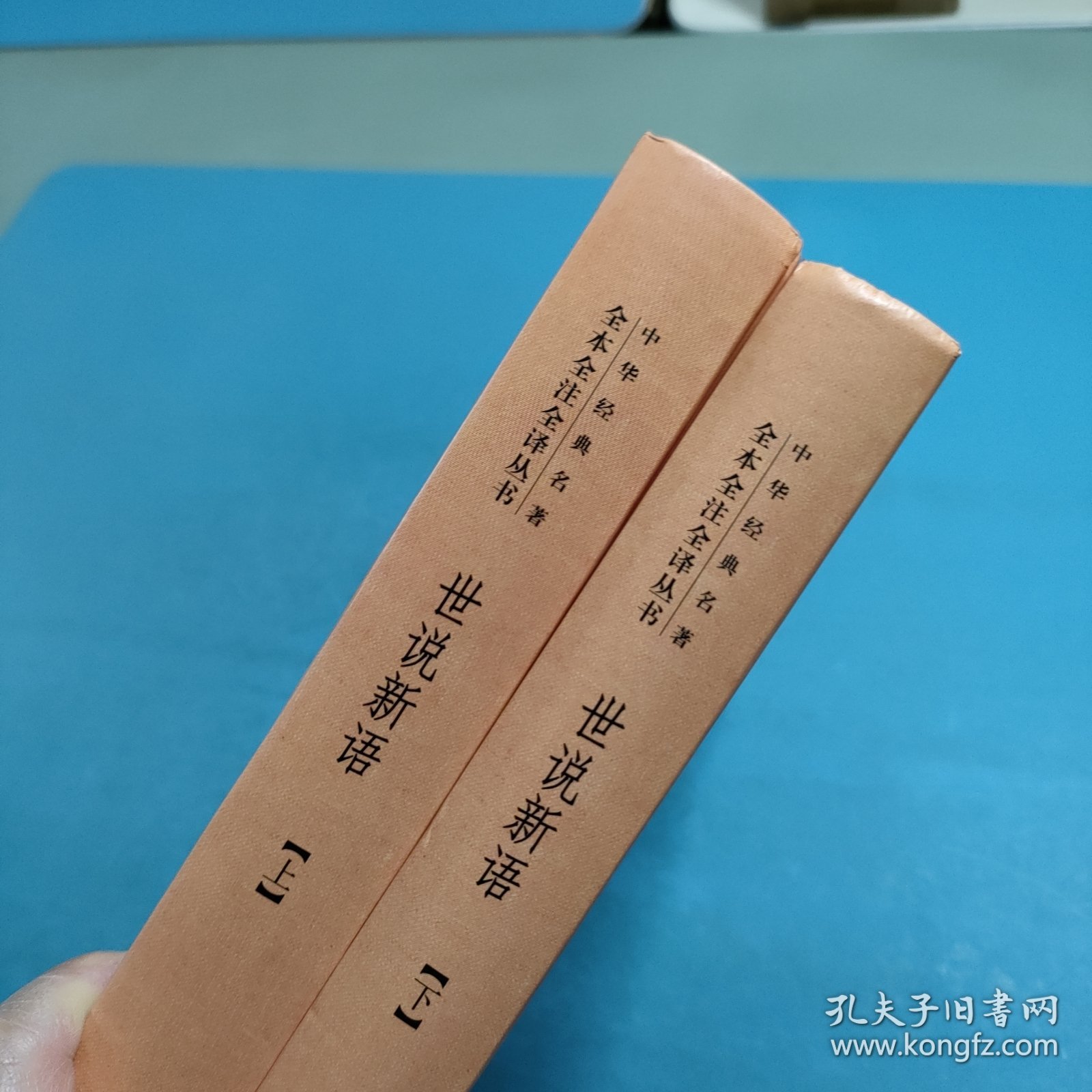 世说新语（上下）：中华经典名著全本全注全译丛书