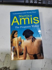 MARTIN AMIS THE PREGNANT WIDOW