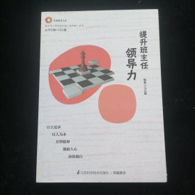 提升班主任领导力（班主任工作改进行动丛书，班主任专业发展、校本研修用书，帮助初中班主任提升带班技巧）