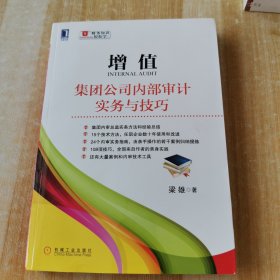 增值：集团公司内部审计实务与技巧