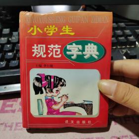 小学生规范字典