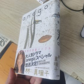 anego(日文原版32开精装)