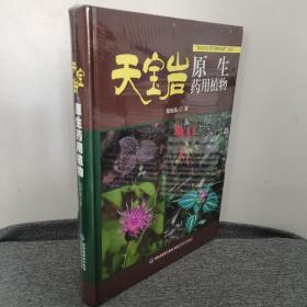 天宝岩原生药用植物（全新未拆封！！）