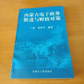 内蒙古电子政务推进与财政对策