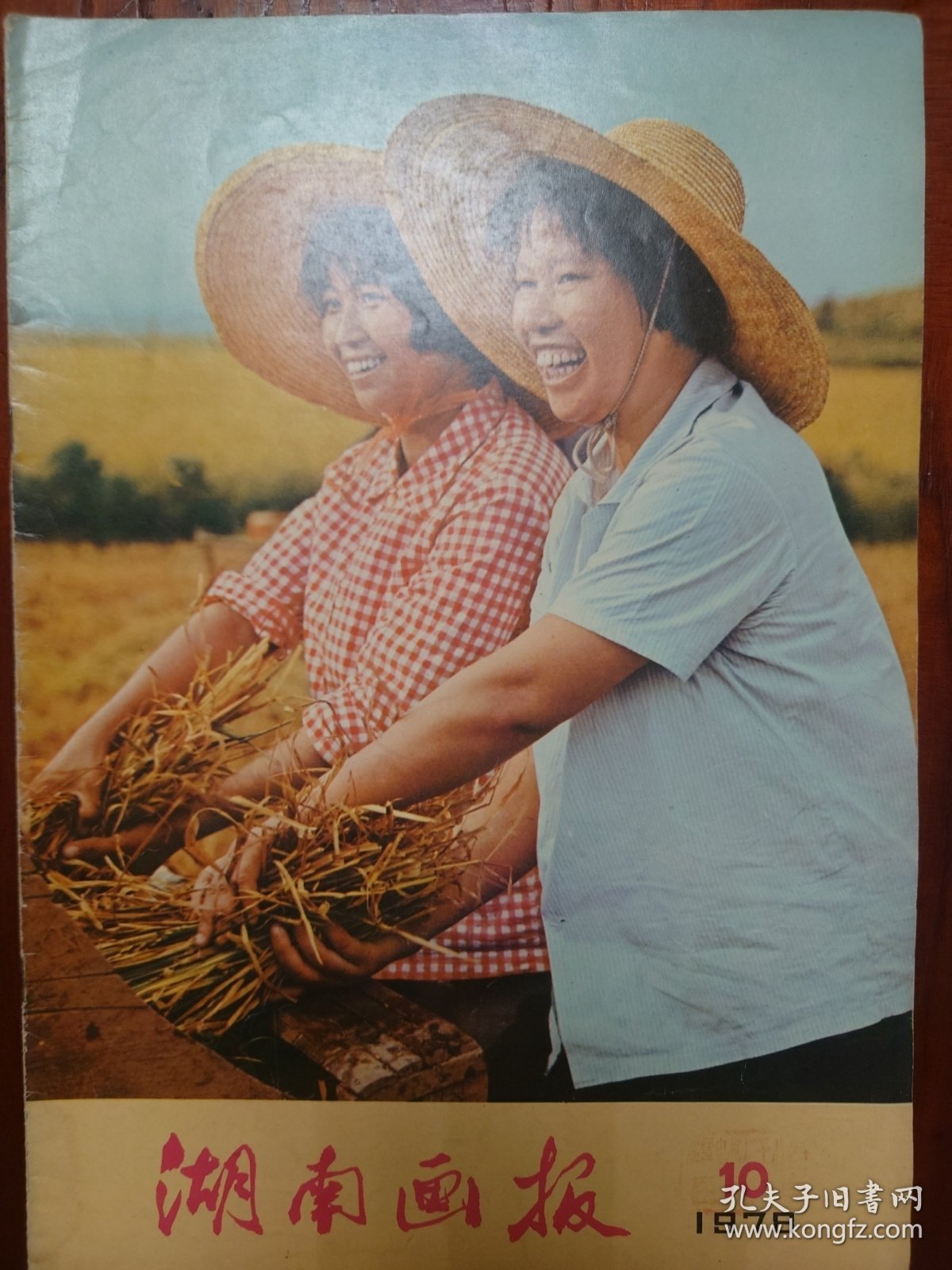 湖南画报1978（10）
