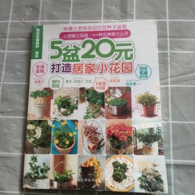 5盆20元打造居家小花園