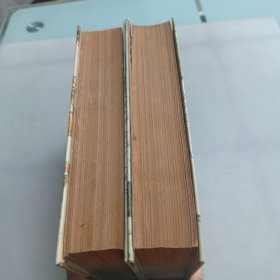 金瓶梅词话（上下册）