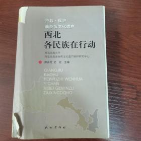 抢救、保护非物质文化遗产：西北各民族在行动