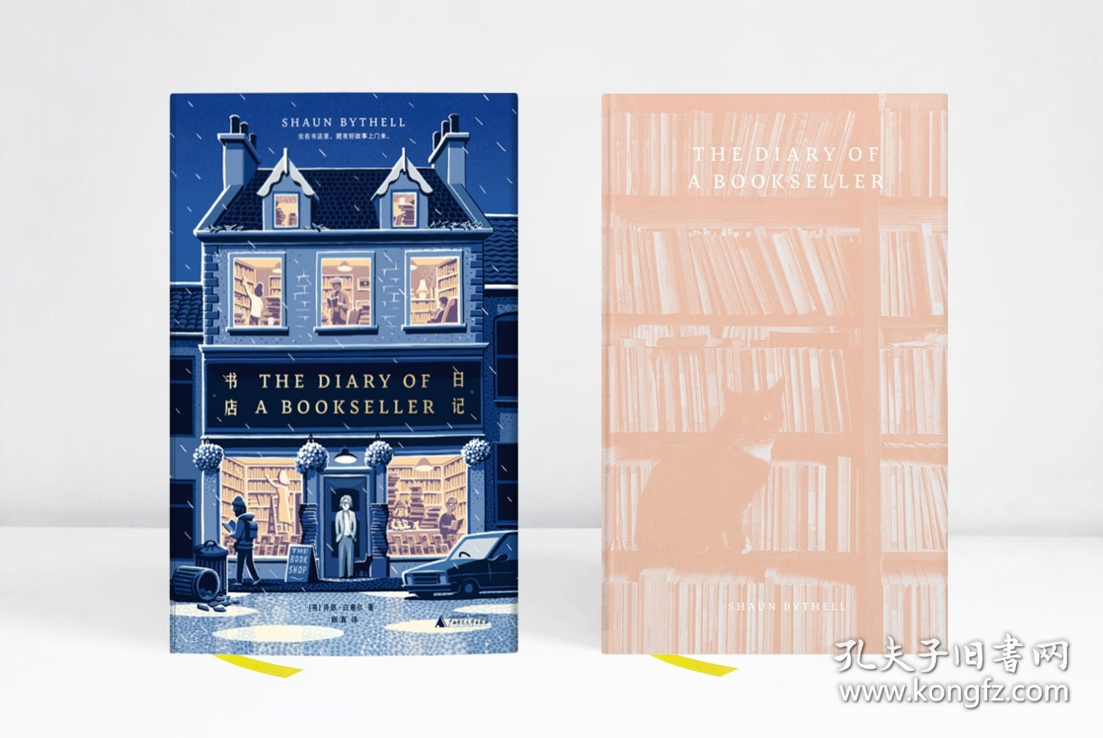 【品相良好】书店日记肖恩·白塞尔 著，顾真 译，理想 出9787559817815