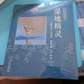 湿地精灵与曹妃甸飞鸟相遇