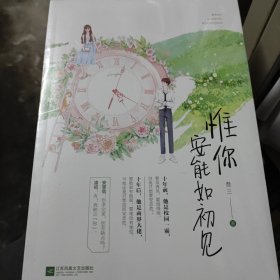 惟你安能如初见 全新未拆封