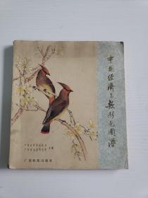中国经济鸟类彩色图谱