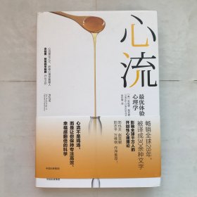 心流：最优体验心理学