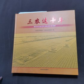 三农这十年