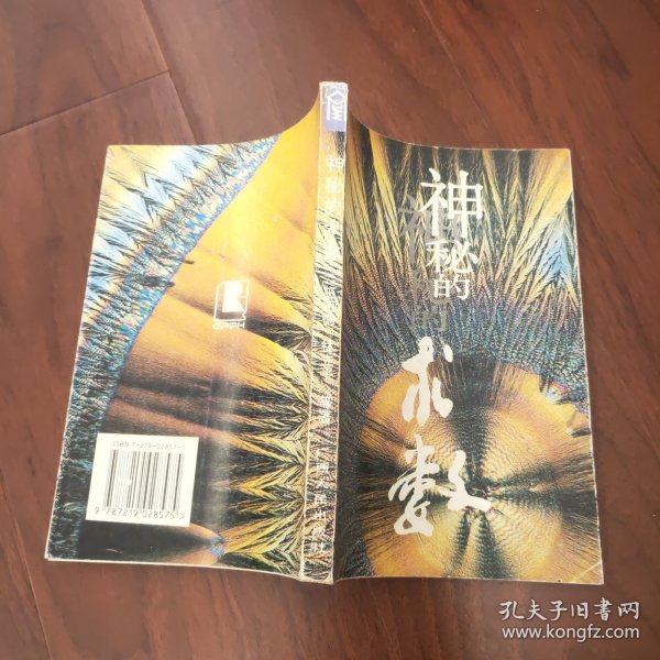 神秘的术数：中国算命术研究与批判