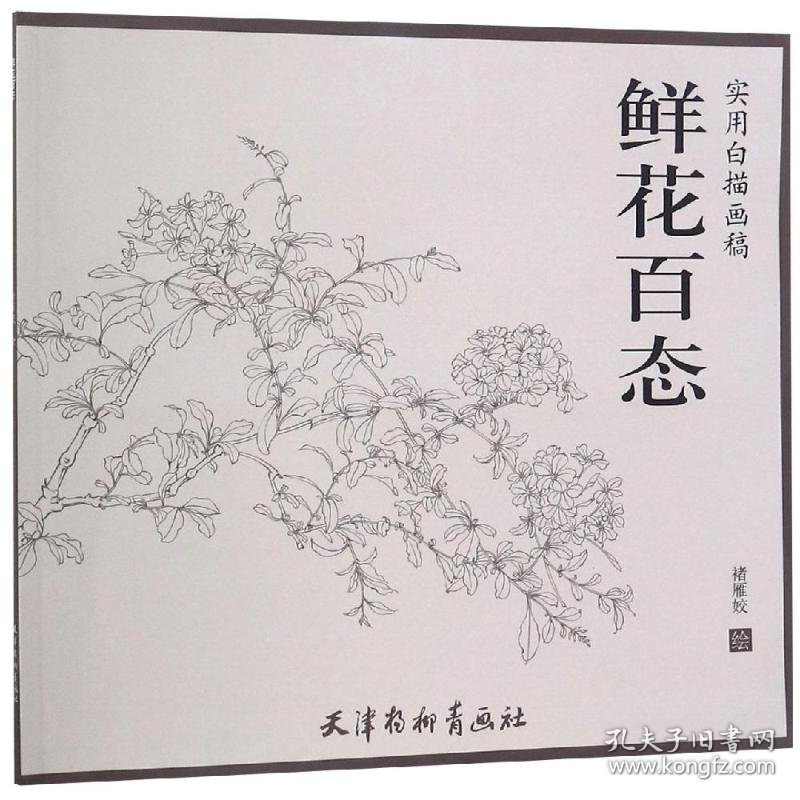 鲜花百态/实用白描画稿 褚雁姣 正版图书