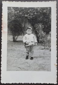老照片，小孩，背题1969年，于上海