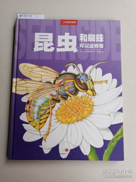 昆虫和蜘蛛可以这样看