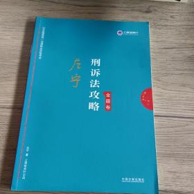 司法考试2019上律指南针2019国家统一法律职业资格考试：左宁刑诉法攻略·金题卷