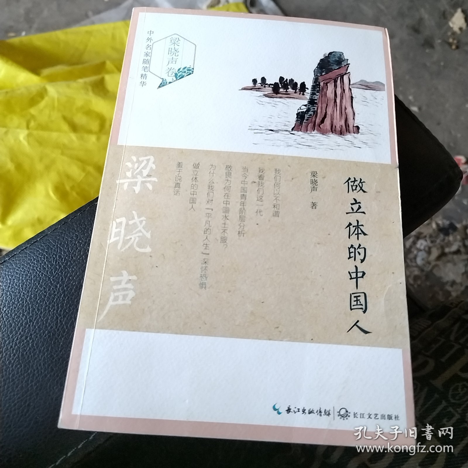 做立体的中国人（中外名家随笔精华 梁晓声卷）