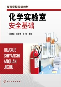 化学实验室安全基础(高等学校规划教材) 普通图书/综合图书 编者:孙建//敦青//杨敏|责编:宋林青 化学工业 9787391667