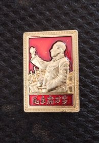 接见红卫兵毛主席像章