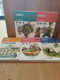 丁丁当当·山那边还是山，黑水手，蚂蚁象，黑痴白痴，盲羊（彩插版） 共5本合售