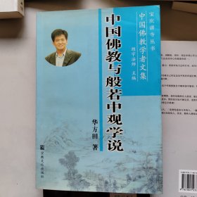 中国佛教学者文集：中国佛教与般若中观学说