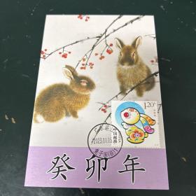 兔年生肖极限片一枚