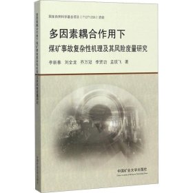 正版 多因素耦合作用下煤矿事故复杂性机理及其风险度量研究 李新春 等 中国矿业大学出版社