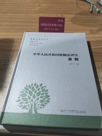 中华人民共和国婚姻法评注总则/家事法评注丛书