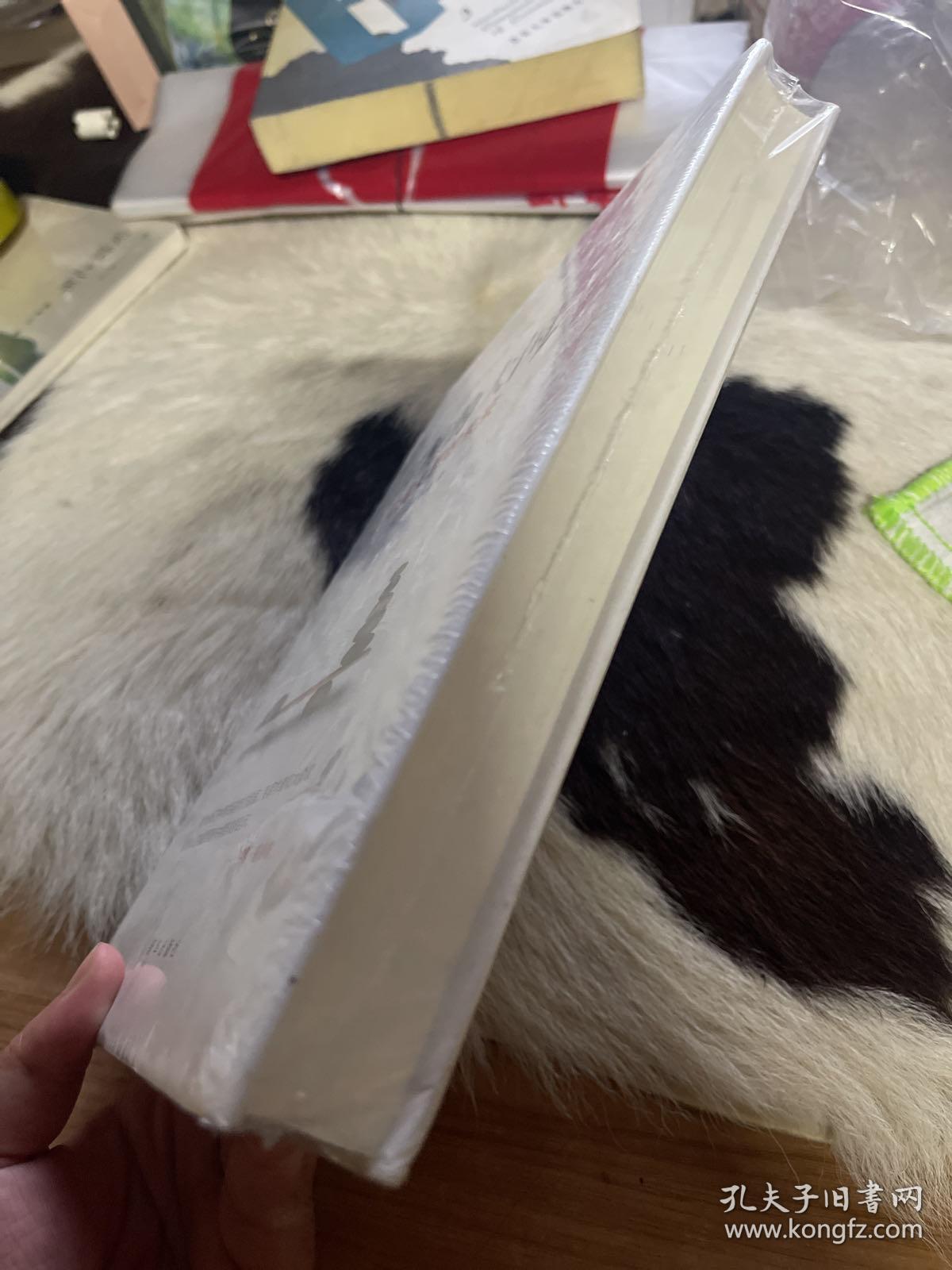 纠缠的大国：中美关系的未来