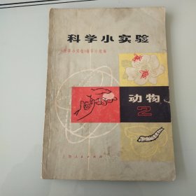 科学小实验