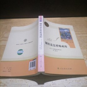 统编语文教材配套阅读 八年级下：钢铁是怎样炼成的/名著阅读课程化丛书