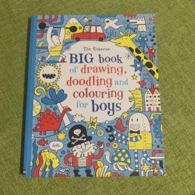 Big Book of Drawing,Doodling And Colouring For Doys