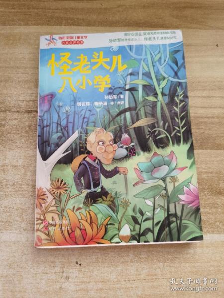 怪老头儿入小学—百年中国儿童文学