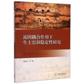 流固耦合作用下生土窑洞稳定研究 电子、电工 姬栋宇 新华正版