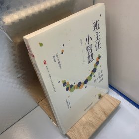 班主任小智慧：68个教育策略一点通（《班主任微创意》姊妹篇） 大夏书系