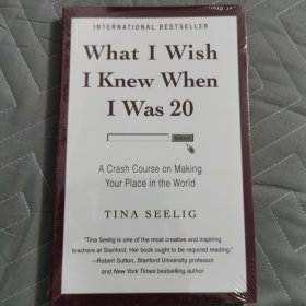 What I Wish I Knew When I Was 20：A Crash Course on Making Your Place in the World 英文原版书 真希望我20几岁就知道的事