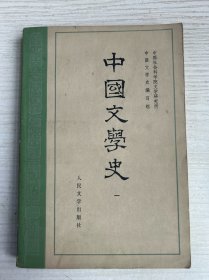 中国文学史（三）