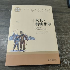 大卫 科波菲尔 中小学生课外阅读书籍世界经典文学名著青少年儿童文学读物故事书名家名译原汁原味读原著