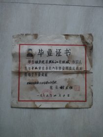 毕业证书（1963年）