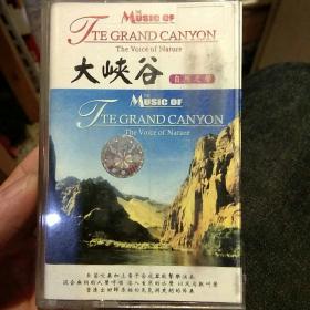 【老磁带收藏】大峡谷 自然之声 西海民族音像出版社【图片为实拍，品相以图片为准】