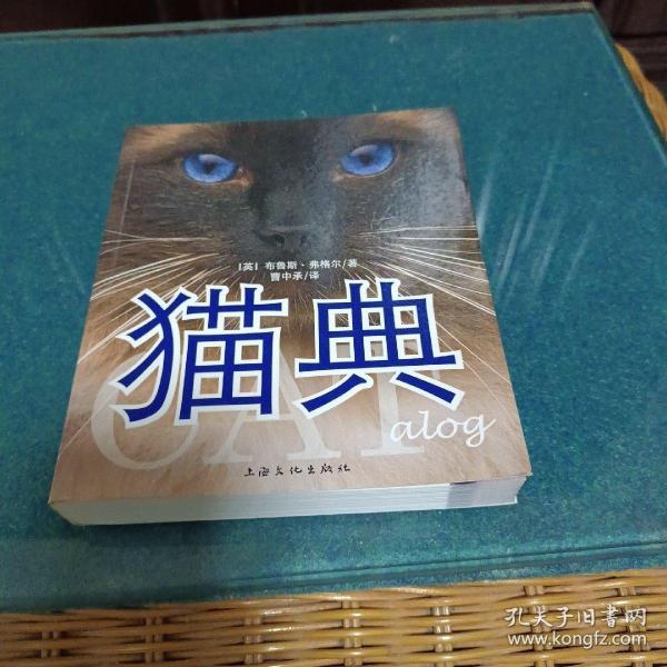 猫典