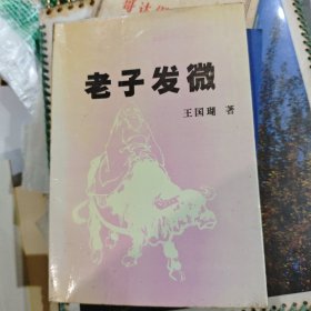 老子发微