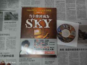 当李晓峰成为sky